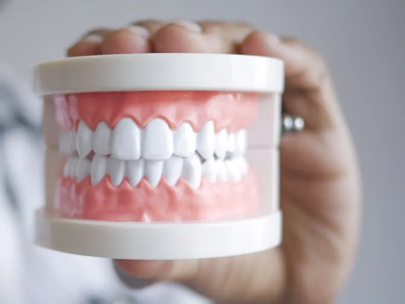 A hand holding up a full set of white artificial teeth